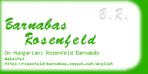 barnabas rosenfeld business card