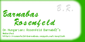 barnabas rosenfeld business card